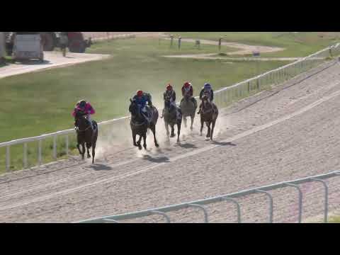 2022.05.22. 08. futam - AMATŐRVERSENY HENDIKEP (V/b.) (szintetikus pálya)