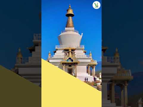 Discover the mystical allure of Bhutan! - Vrinda Tour & Travels