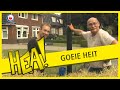 HEA! Goeie Heit