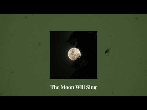 The Crane Wives playlist