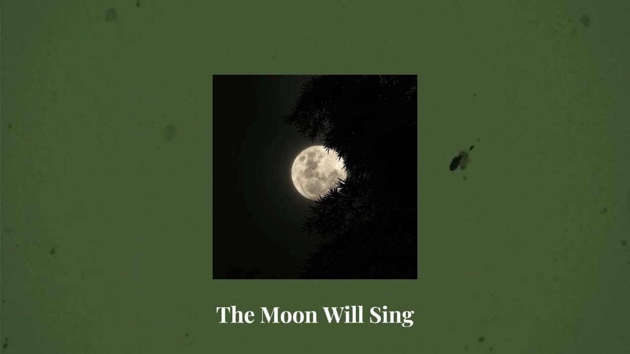 The Crane Wives playlist