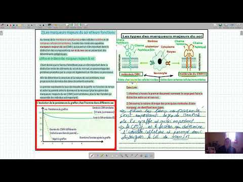 svt: immunologie: LES MARQUEURS DU SOI( le CMH)