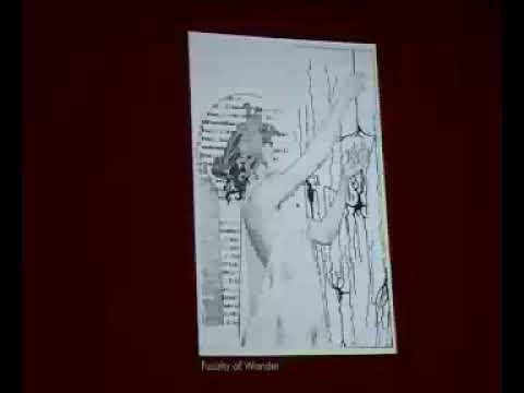 Processing "Knowledge Production" in Art - discussion with Clémentine Deliss - 25/11/2006