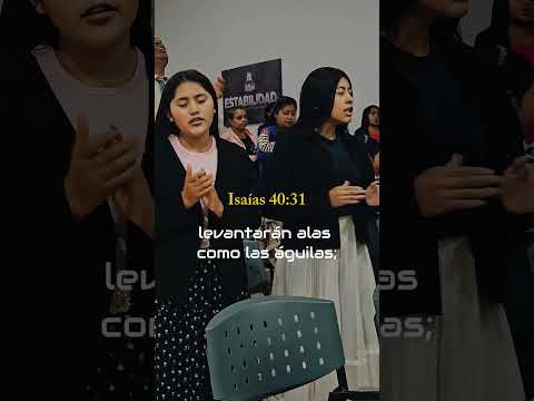 Reel Domingo 29 marzo