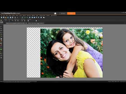 How to Use the Move Tool in PaintShop Pro