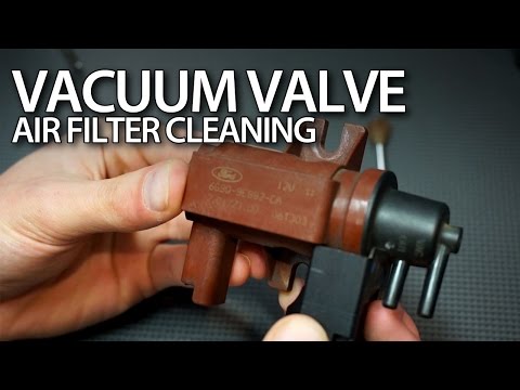 How to clean vacuum valve air filter in 16 20d tdci and hdi ...
