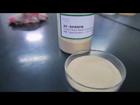 Bacillus licheniformis Probiotics Factory