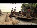 Blood Sweat Shears The Gritty Reality Of Sheep Shearing HD Trailer For DVD