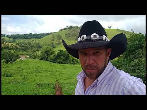 hey Roy roubaram meus cavalos