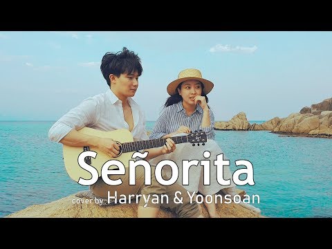친남매가 부르는 세뇨리따 [Siblings Singing Señorita(Shawn Mendes, Camila Cabello)]  │ Harryan & Yoonsoan