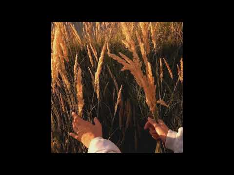 [free] indie folk acoustic type beat - "pics of you"