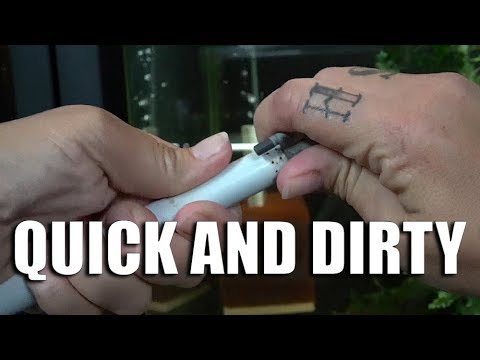 WHEN and HOW to clean our sponge filter