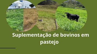 SUPLEMENTAÇÃO DE BOVINOS EM PASTEJO