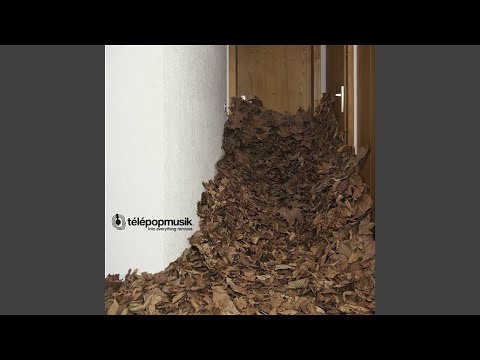 Into Everything (Zdar Mix)