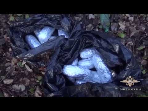 Жителя Рязанской области задержали с наркотиками в Подмосковье