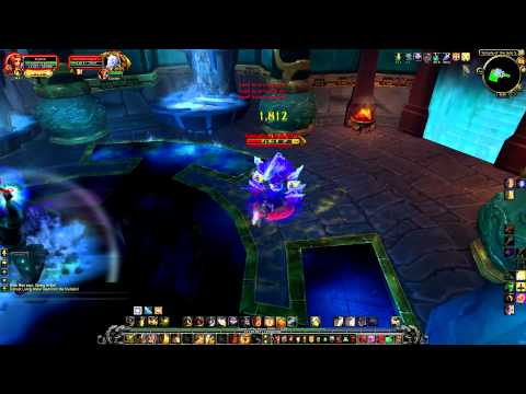 Wise Mari Solo (Beta) (Protection Paladin)