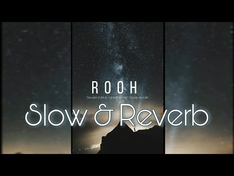 ROOH - TALHAH YUNUS | UMAIR KHAN | TALHA ANJUM Lyrics (Slow and Reverb)