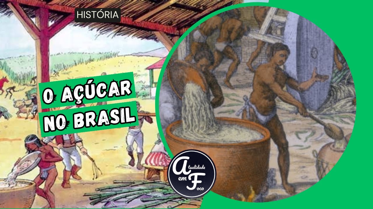 A SOCIEDADE DO ENGENHO (HISTÓRIA)