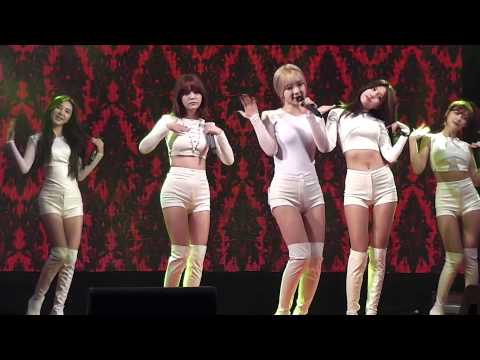 150530 AOA "Like a Cat" @ Youth Concert(U클린 청소년 문화콘서트 )