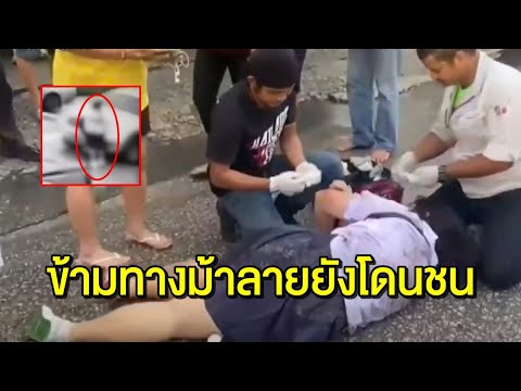 คลิกเพื่อดูคลิปวิดีโอ