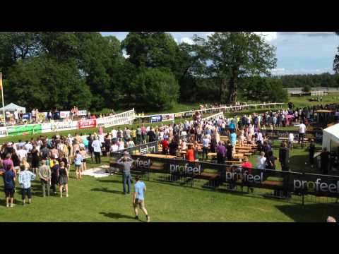 Swedish Grand National 2015 (Ländler)