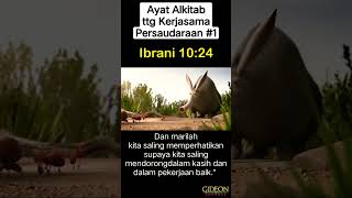Download lagu Video Animasi #1 | Renungan Rohani Kristen | Motifasi | Ayat Alkitab |#shorts mp3 Download lagu Video Animasi #1 | Renungan Rohani Kristen | Motifasi | Ayat Alkitab |#shorts mp3