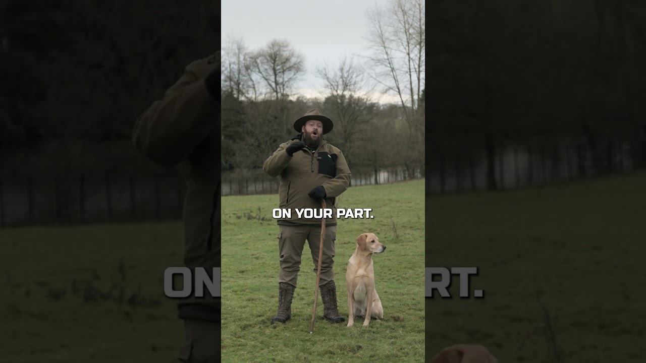 Advanced Impulse Control + Basic Dog Training = The World’s Best Dogs