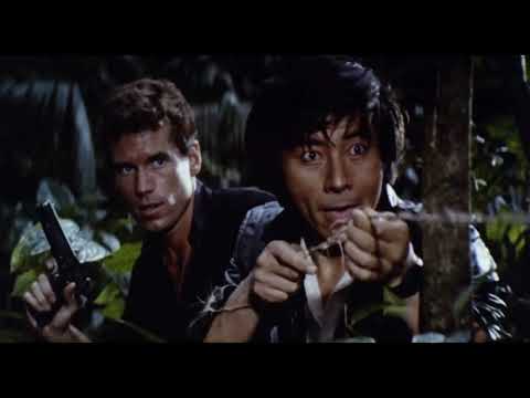 Nine Deaths of the Ninja (1985) | Trailer