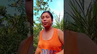 picnic time kasama ang mahal sa buhay