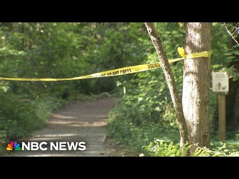 Bear attacks hiker on a Washington hiking trail