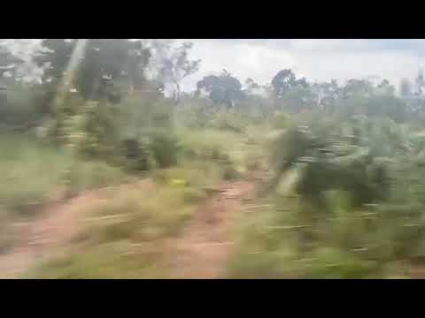 Área bruta 307 alqueires.  Município Recursolandia Tocantins.