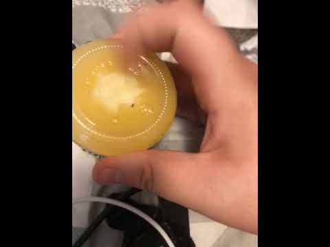 Yoplait - Black thing found in yogurt - Image 2
