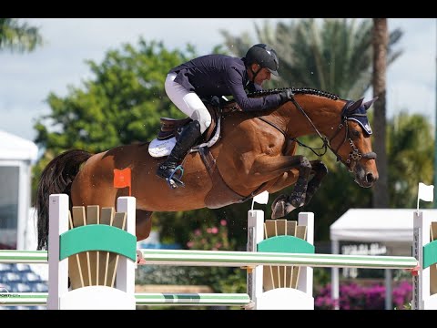 Emerald x Tosca de l'Esques (Cardento)