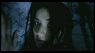 Second Spring - Irresistible