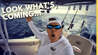 Everything Hits a Slow Pitch Jig