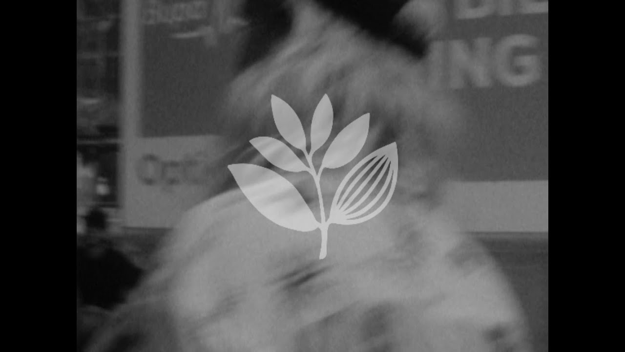 James Whineray: DOMINGO 2 (Magenta Skateboards)