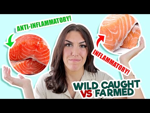 天然のサーモンと養殖のサーモン (栄養の違い、利点、色)