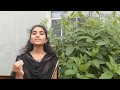 Nuvve Nuvve Pyar Mein Padipoyane Anup Rubens Ramya Behra Lavanya Sangapu