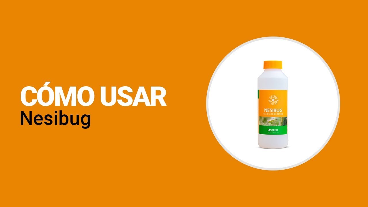 Video preview poster