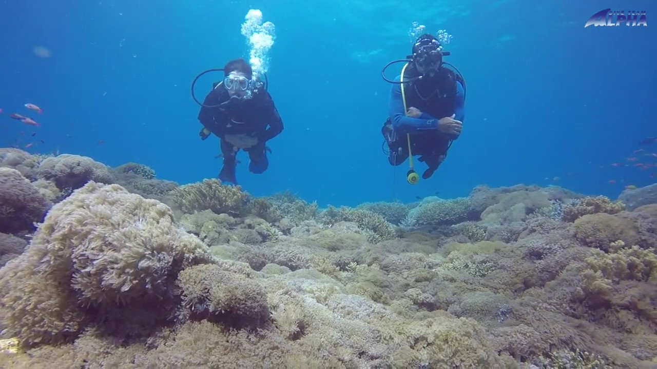 Diving trip