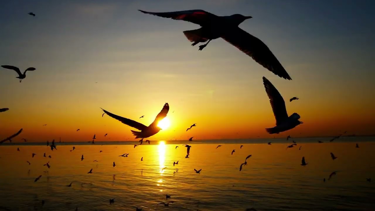 Béatitudes - Hélène Goussebayle - Louanges celtiques