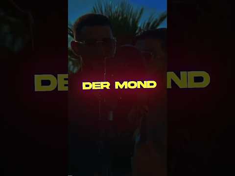 SONNENTANZ — Shabab x Baré x Bayor