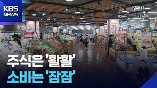 반도체·주식 잘 나가도 돈 안 쓴다…소비 회복 느려 / KBS 2026.02.28.