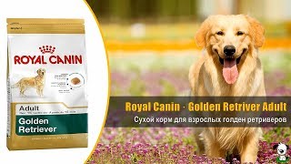 Royal Canin Golden Retriever Adult 12 кг (3970120) - відео 1