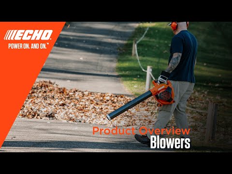 Echo DPB-2810 in Gaylord, Michigan - Video 1