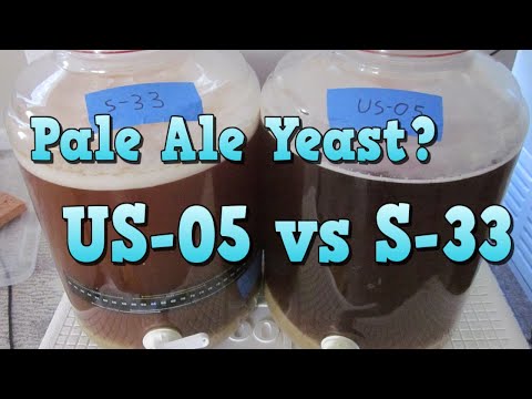 Best Pale Ale Yeast?  US-05 vs S-33