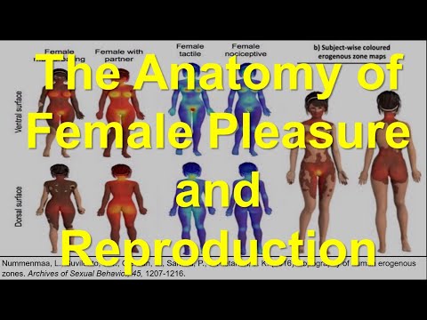 The Anatomy of Female Pleasure and Reproduction