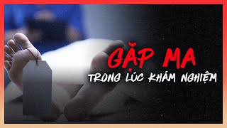 6 lần GẶP MA của SHELOCK HOLMES ĐÀI LOAN DƯƠNG NHẬT TÙNG