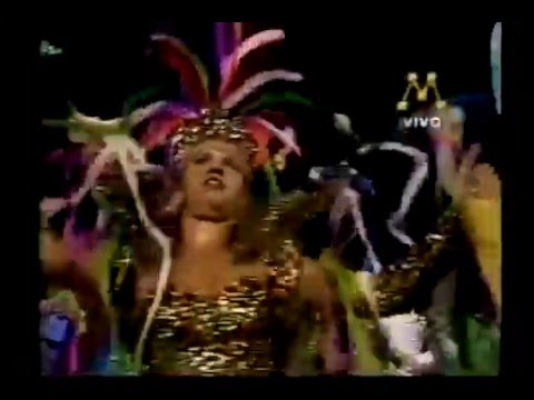 Campeãs 1994 Beija Flor Margaret Mee