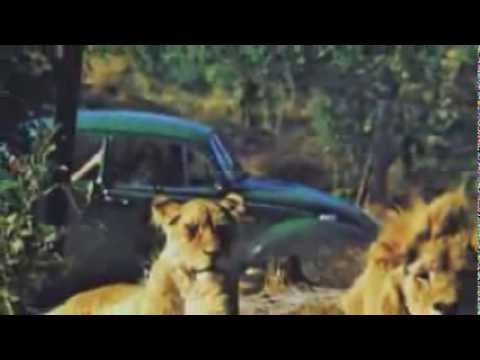 Video thumbnail for Disco Bus